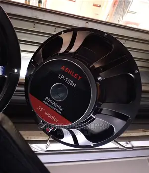 Ashley LP 158H Naked Speaker