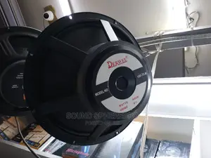Derwel 15onch Naked Speaker