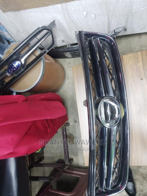 Fielder 2010 Front Grill