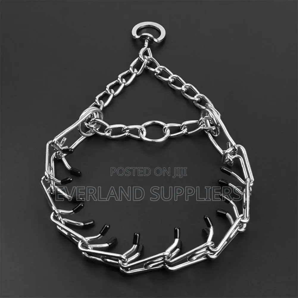 Prong Training Collar