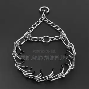 Prong Training Collar