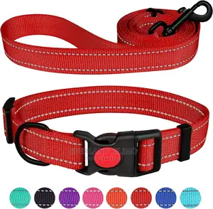 Strong Padded Leash and Collar
