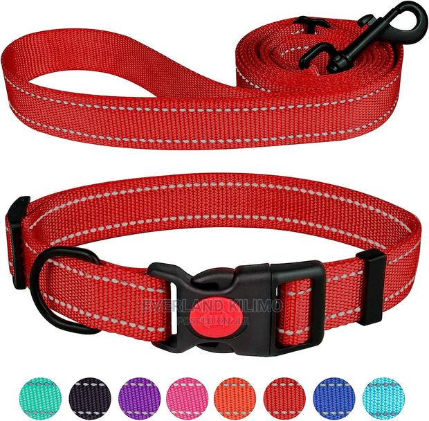Strong Padded Leash and Collar - main view