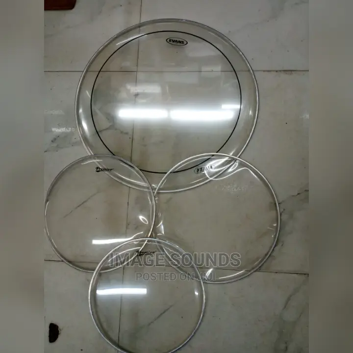 Snare Skin All Sizes