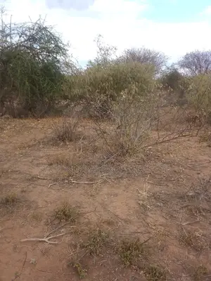 19 Acres Touching Mombasa-Nairobi Highway in Simba for Sale