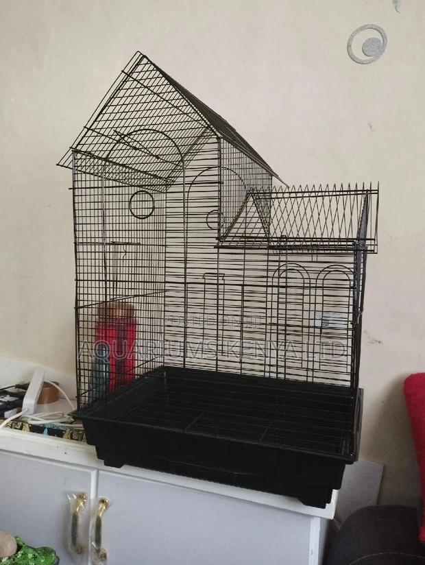Cocktails, Lovebirds Cages,Cage for Birds