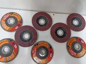 4.5 Flap Discs