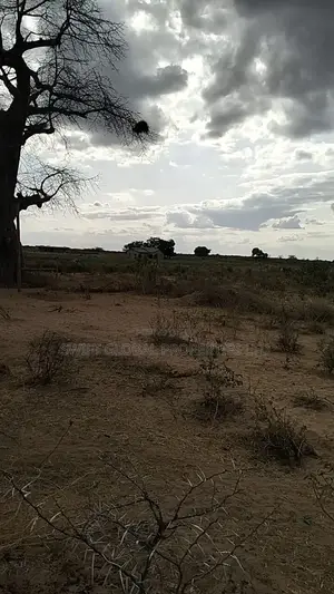 800 Acres Touching Athi River Is Available for Lease in Kambu