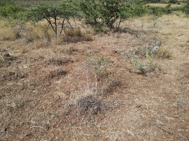 1 Acre Pieces After Corner Per Acre - thumbnail 6