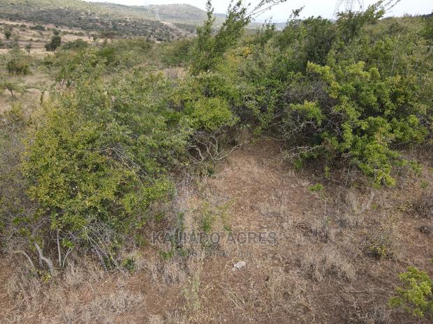 1 Acre Pieces After Corner Per Acre - thumbnail 10