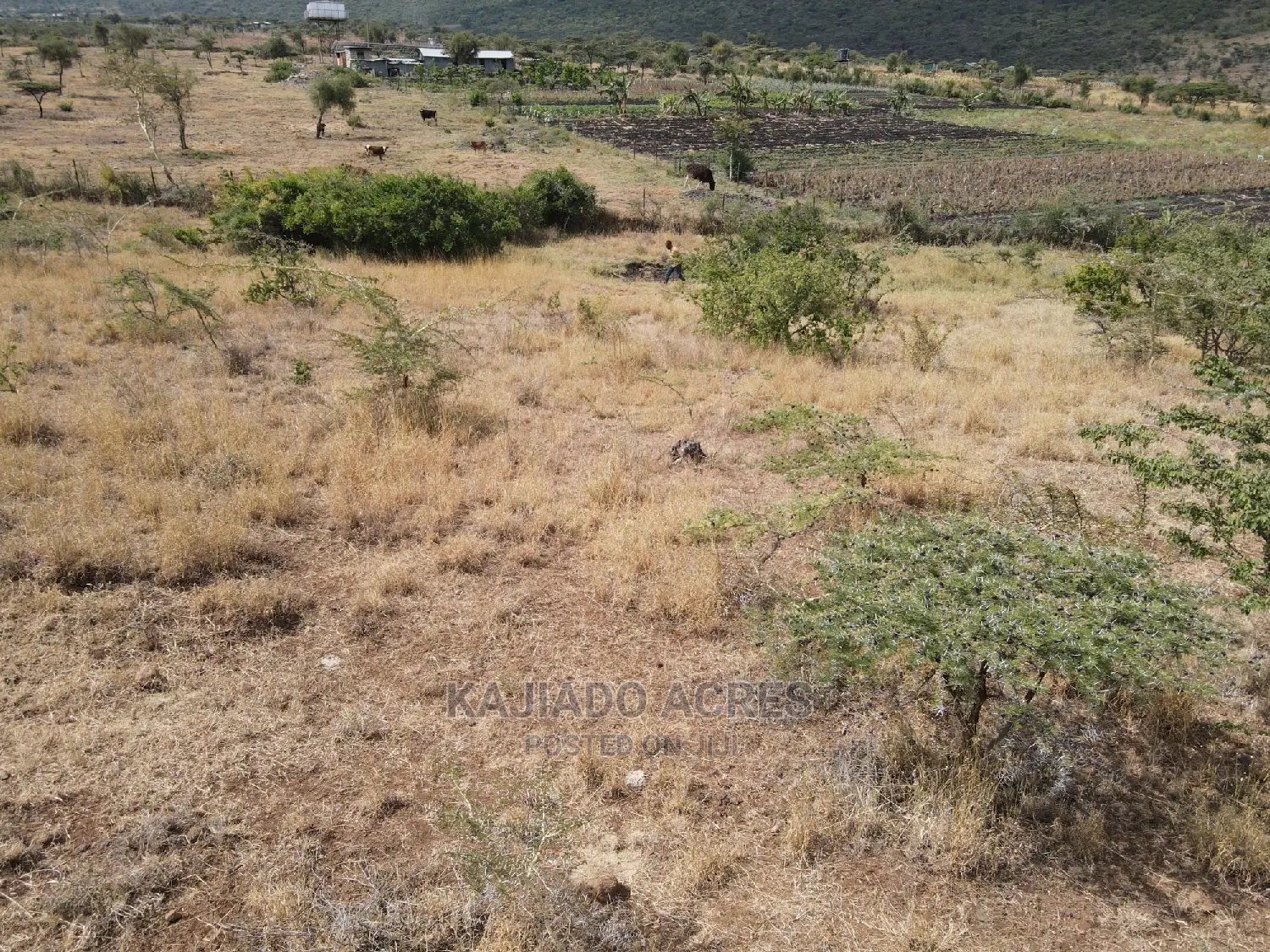 1 Acre Pieces After Corner Per Acre
