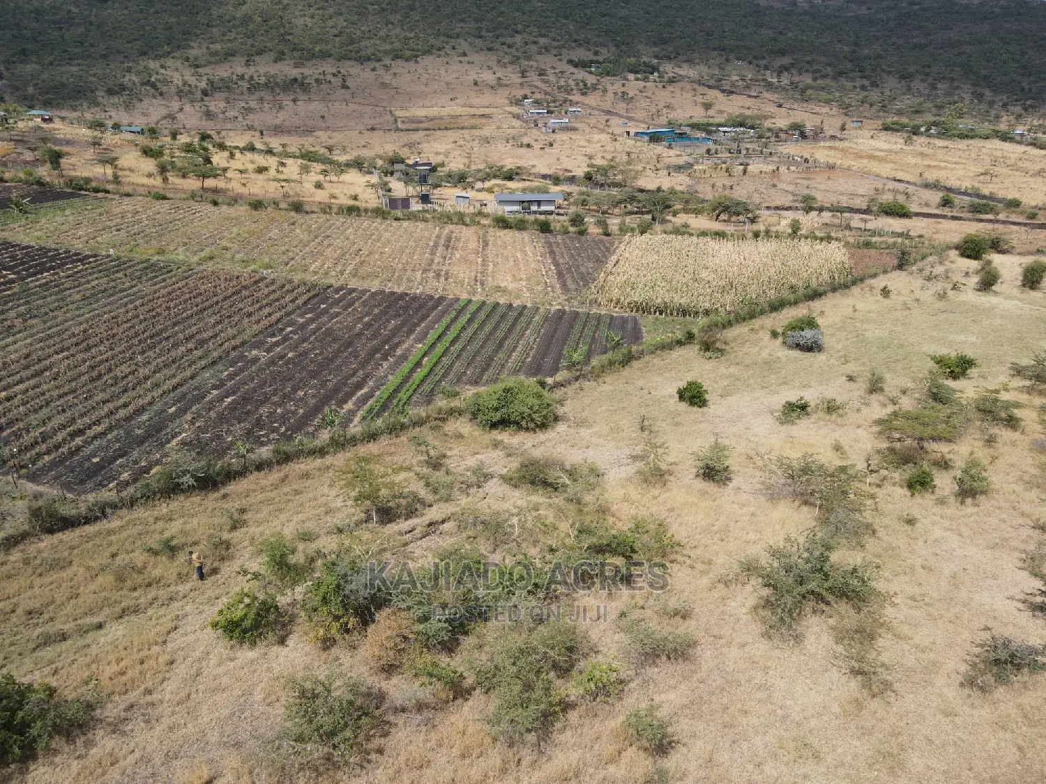 8.8acres After Corner Baridi at 3.5m Per Acre in Kiserian Land & Plots for Sale, Kajiado Acres
