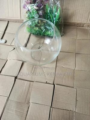 Bowl Aquarium - thumbnail 2