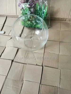 Bowl Aquarium