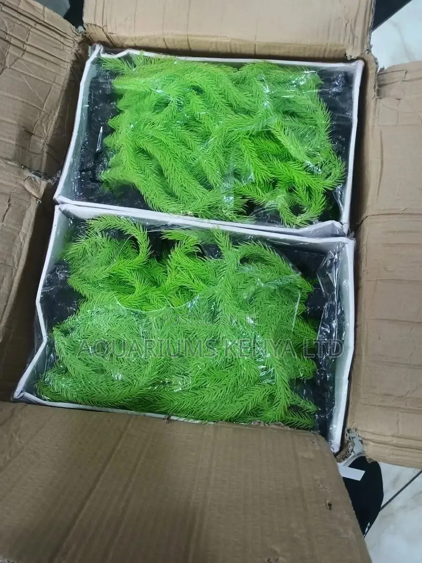 Light Green Aquarium Long Plants