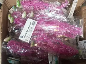 Pink Unique Aquarium Flowers