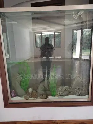 Inbuilt Aquariums ,Separating Rooms Aquariums