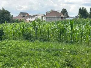 Prime Residential Plot for Sale Near the Southern Bypass.