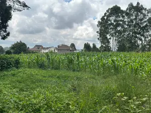 Prime Residential Plot for Sale Near the Southern Bypass.