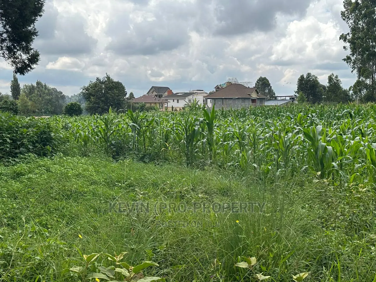 Prime Residential Plot for Sale Near the Southern Bypass.