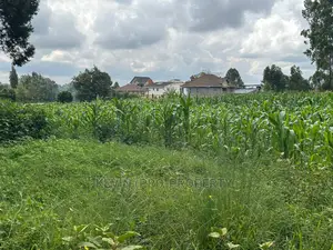 Prime Residential Plot for Sale Near the Southern Bypass.