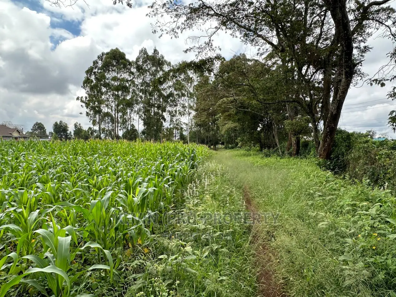 Prime Residential Plot for Sale Near the Southern Bypass.