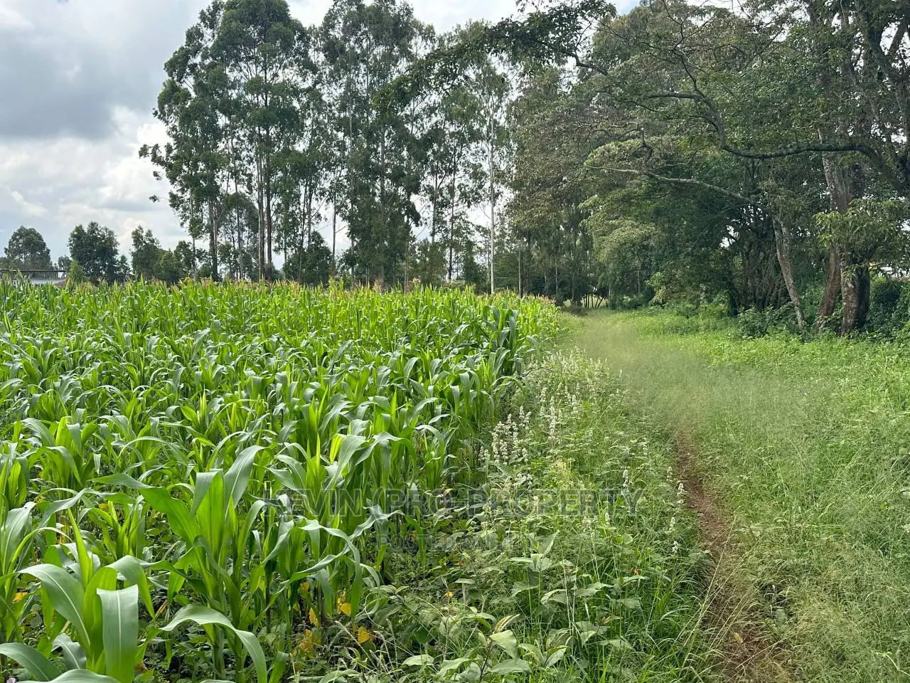 Prime Residential Plot for Sale Near the Southern Bypass.