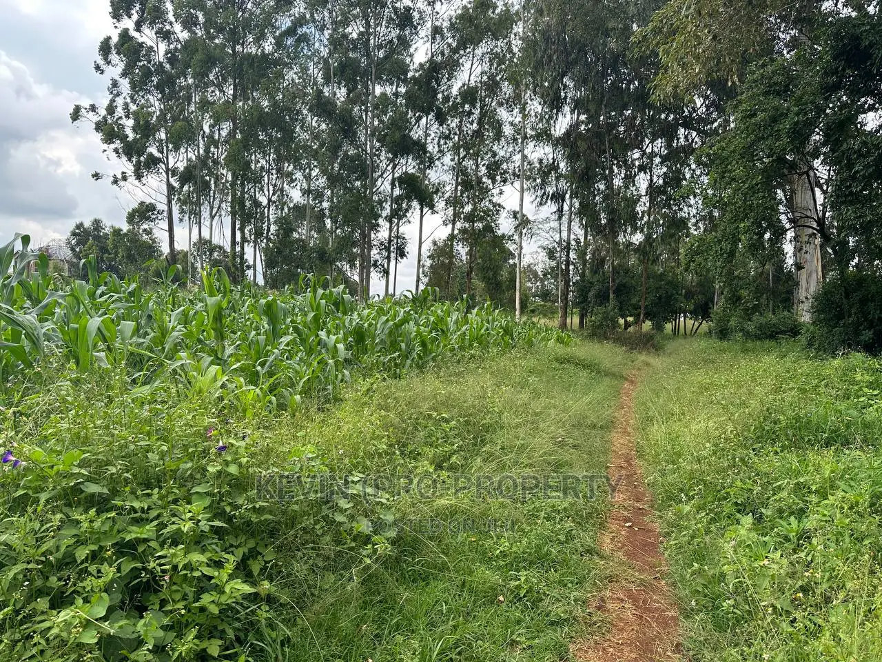 Prime Residential Plot for Sale Near the Southern Bypass.