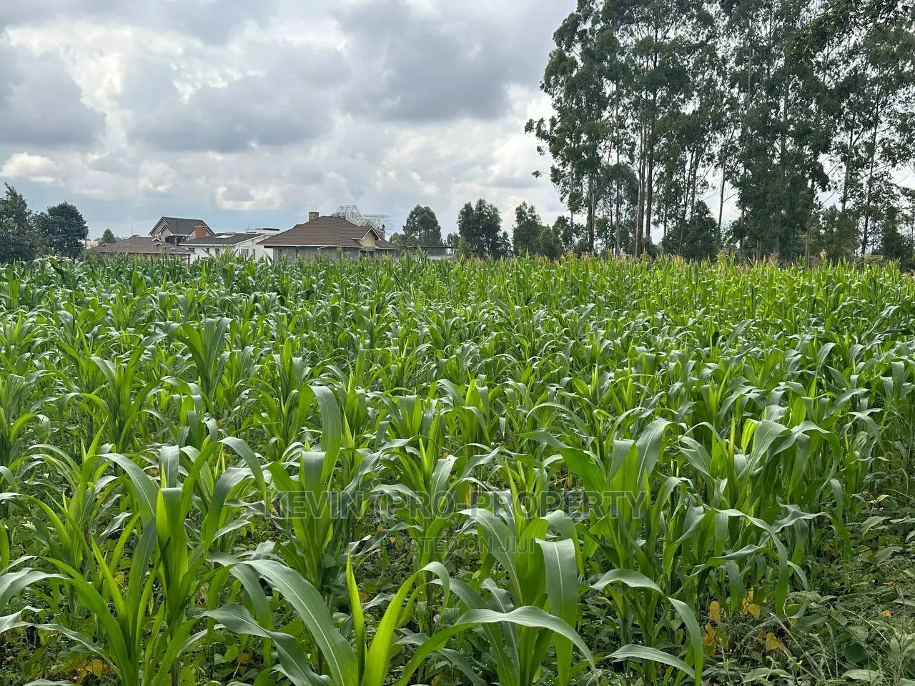 Prime Residential Plot for Sale Near the Southern Bypass.