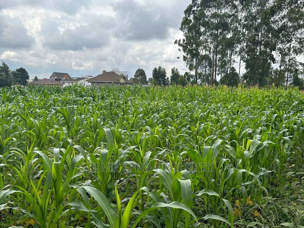 Prime Residential Plot for Sale Near the Southern Bypass. - thumbnail 11