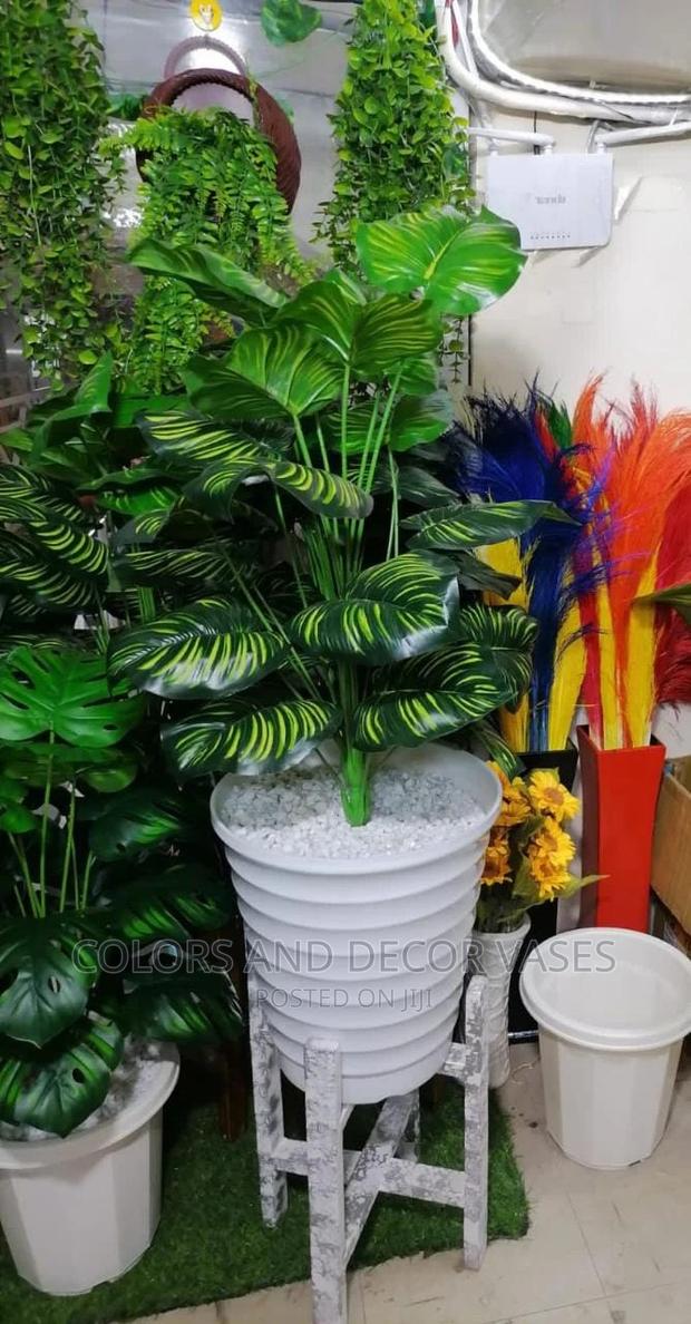 Plant, Vase With Pebble Stones Stand - main view