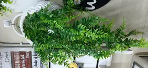 Decorative Wall Hanging Planters
