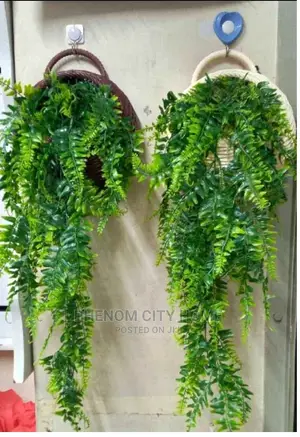 Decorative Wall Hanging Plants