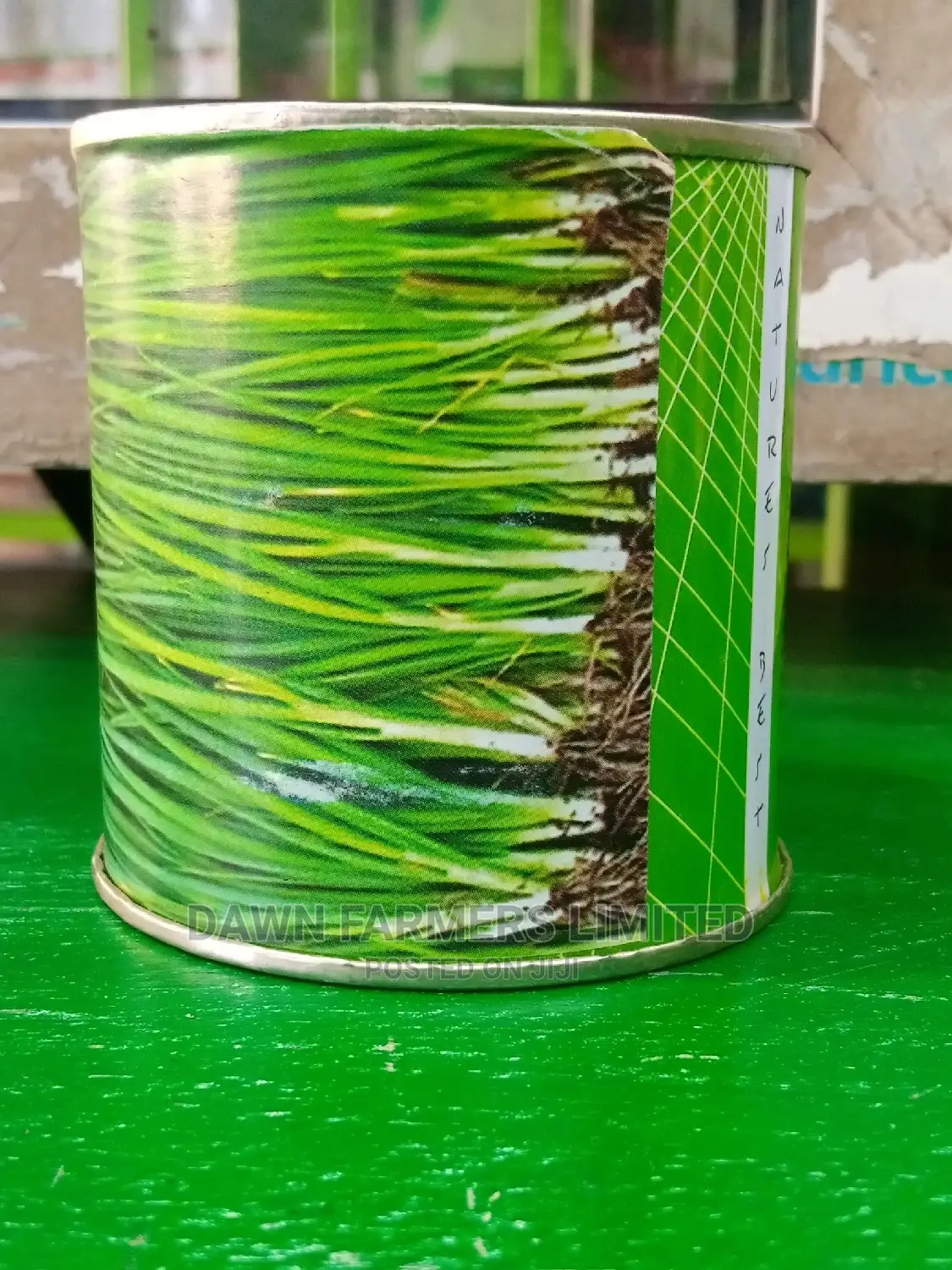 Spring Onion 50gms
