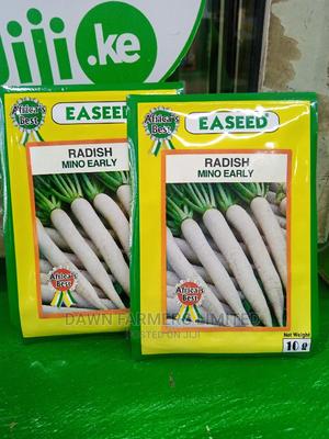 Radish Mino Early - main view