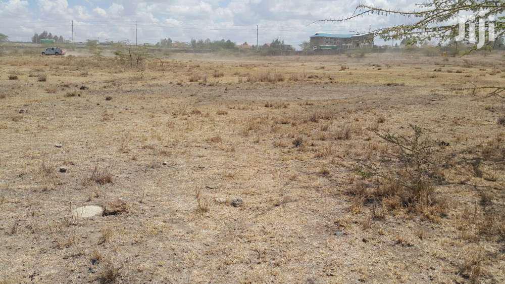 17 Acres for Sale