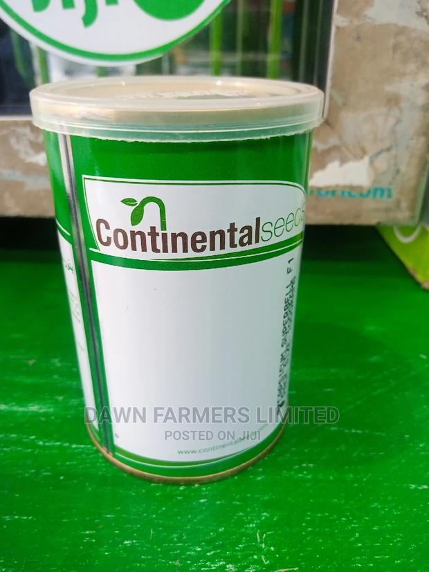 Capsicum Super Bell F1 100gms - thumbnail 2