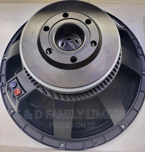 Naked 18 Inch Bass Speaker