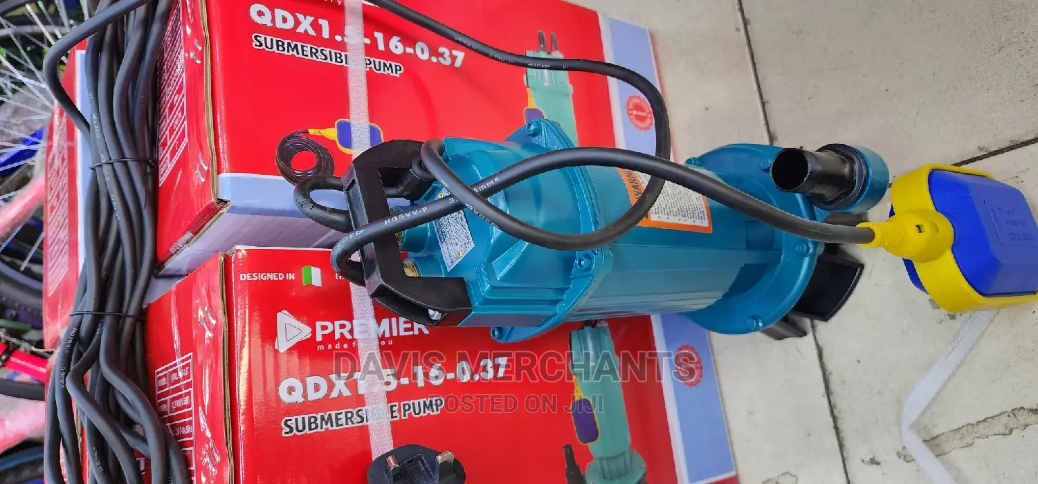 QDX 3hp Swallow Well Submersible Pump With Flex Cable 10M
