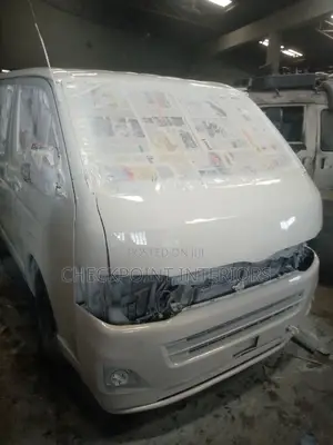 Professional Auto and Home Painter