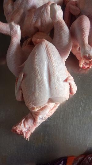 Broilers Chicken - thumbnail 2