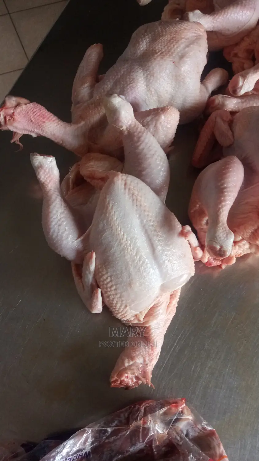 Broilers Chicken