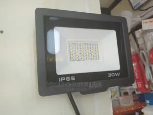 IP65 Floodlight Security Light 30 Watts AC