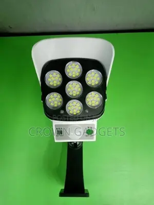 Solar Sensor Light/Dummy Camera