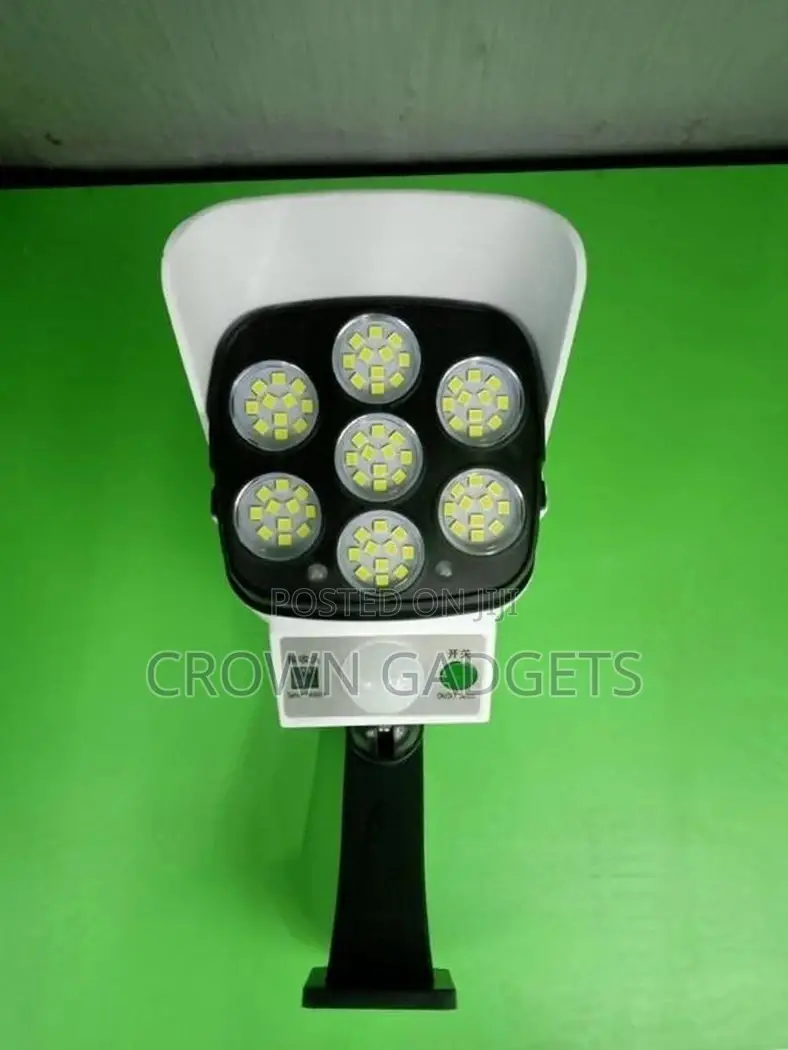 Solar Sensor Light/Dummy Camera