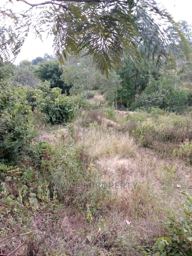 9 Acres ,Katheuni, Matinyani - thumbnail 2