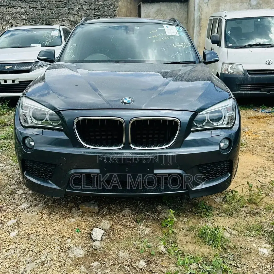 BMW X1 2016 Gray