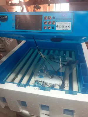 Egg Incubator 64 Eggs