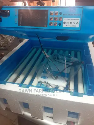 Egg Incubator 64 Eggs