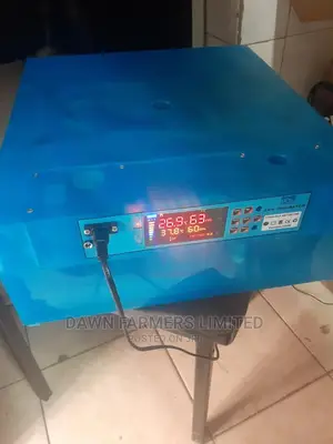 Egg Incubator 64 Eggs